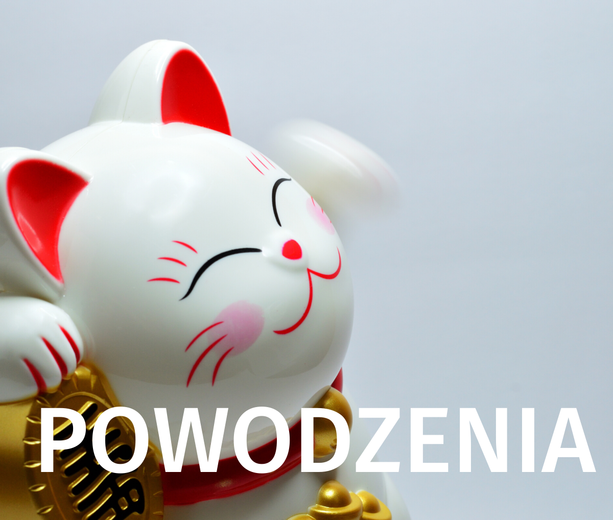 Zdjęcie chińskiego kotka machającego łapką. Napis 'Powodzenia'